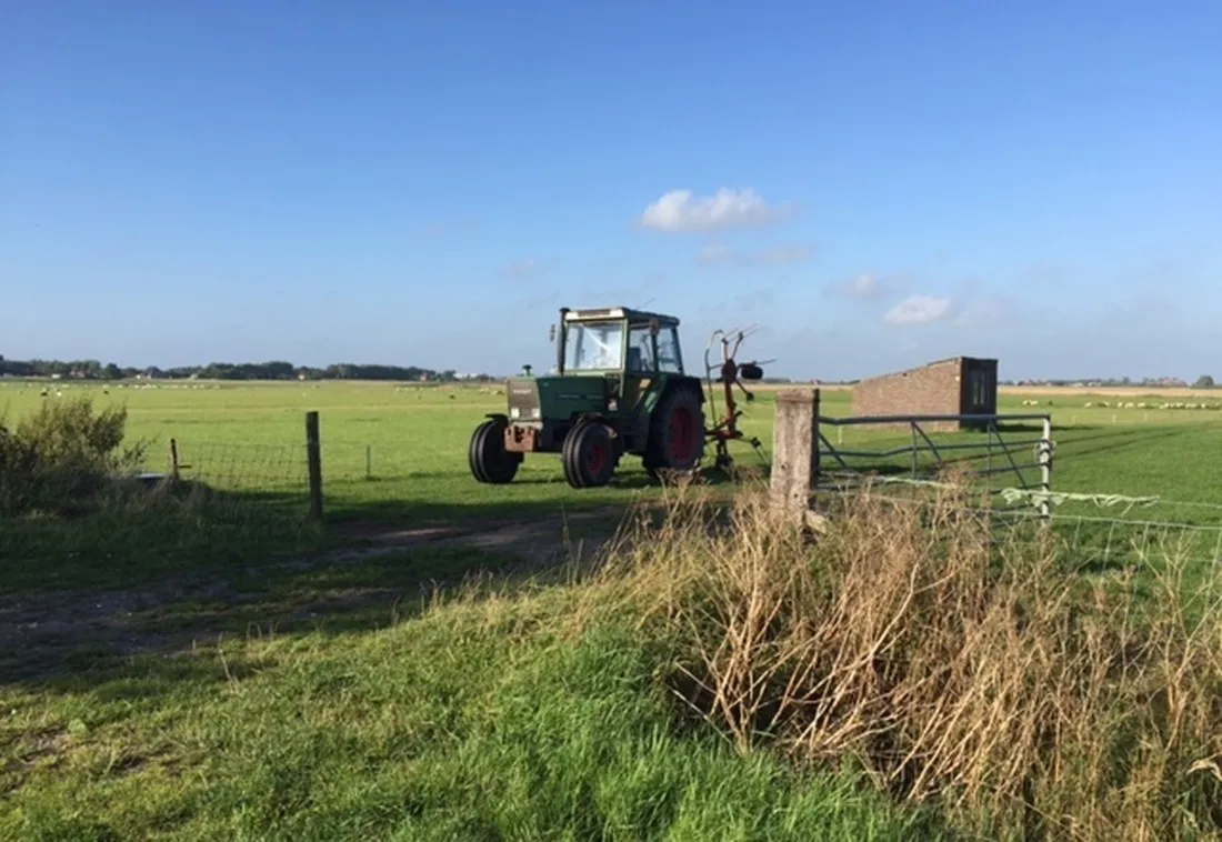de-lindehoeve-texel-rpvn2