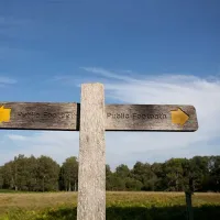 camping-caravanning-club-site-graffham-petworth-dxmfh