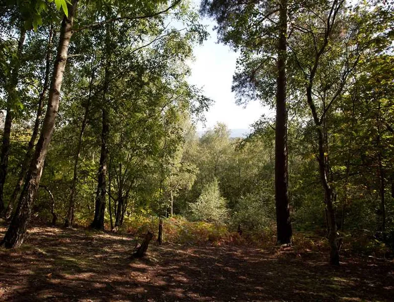 camping-caravanning-club-site-graffham-petworth-pkgt6
