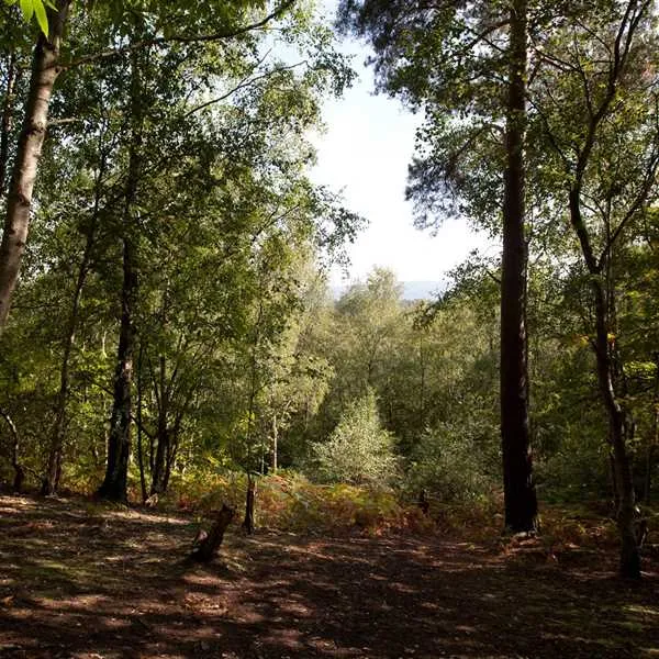 camping-caravanning-club-site-graffham-petworth-pkgt6