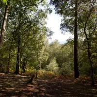 camping-caravanning-club-site-graffham-petworth-pkgt6