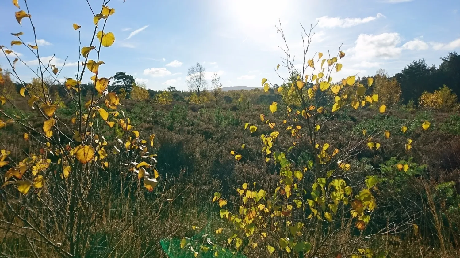 camping-caravanning-club-site-graffham-petworth-pkqtp