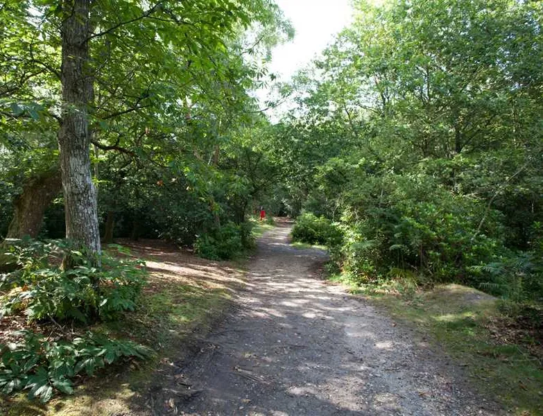 camping-caravanning-club-site-graffham-petworth-waow1