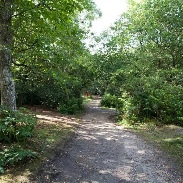 camping-caravanning-club-site-graffham-petworth-waow1