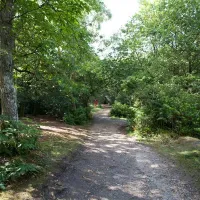 camping-caravanning-club-site-graffham-petworth-waow1