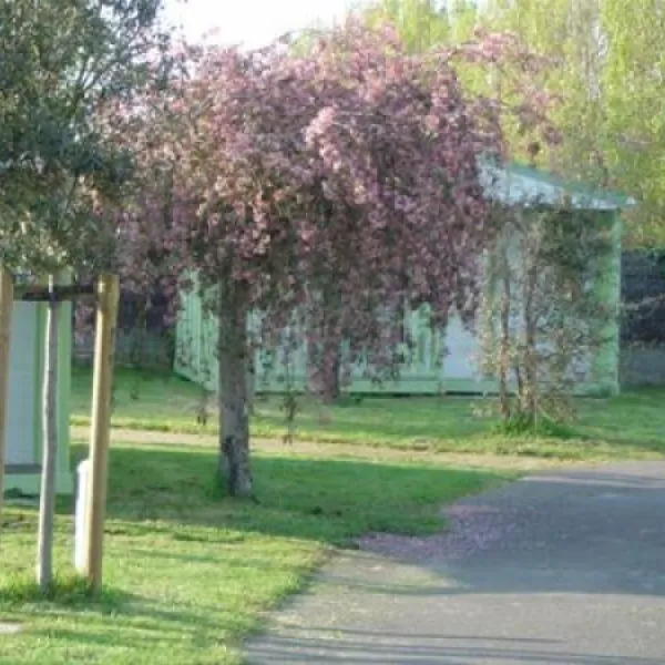 camping-saint-hubert-talmont-st-hilaire-x02nx
