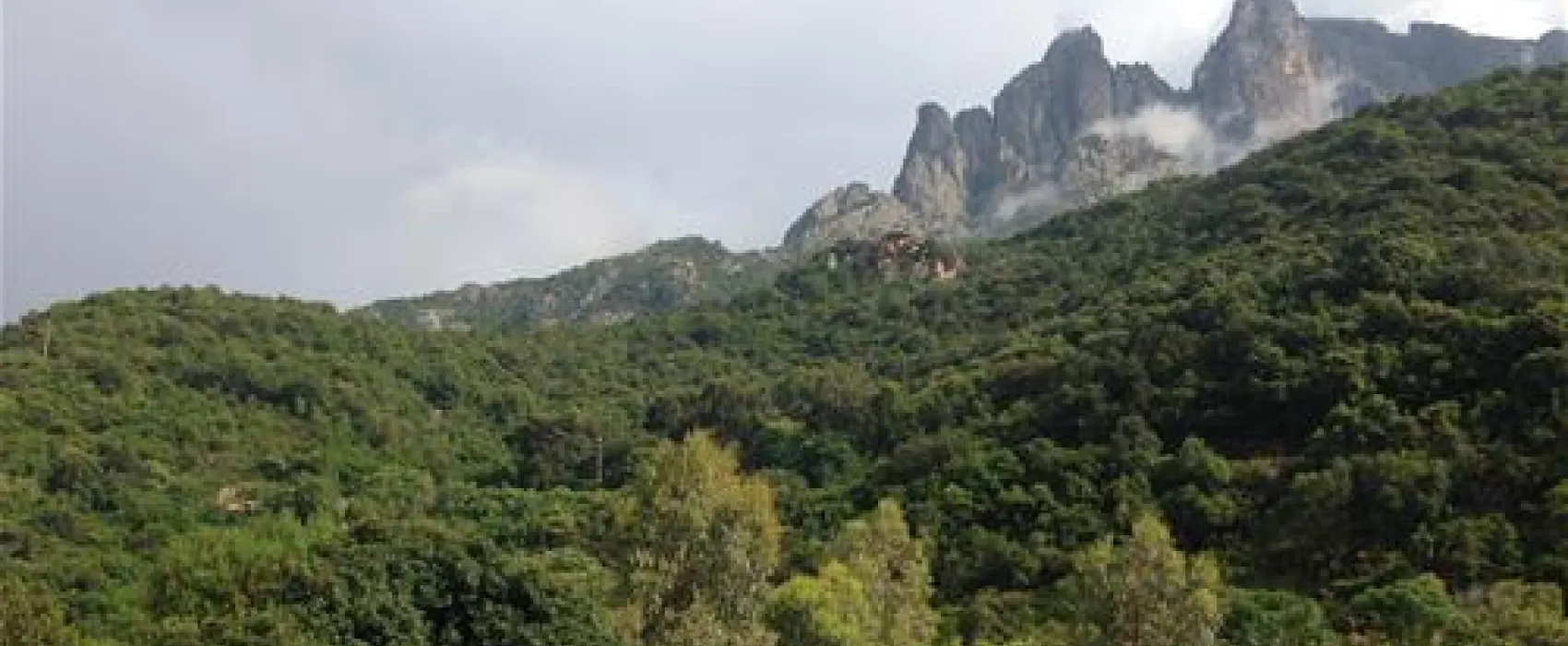 Camping Municipal