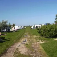 wiedevogelzicht-kwadijk-qltfg