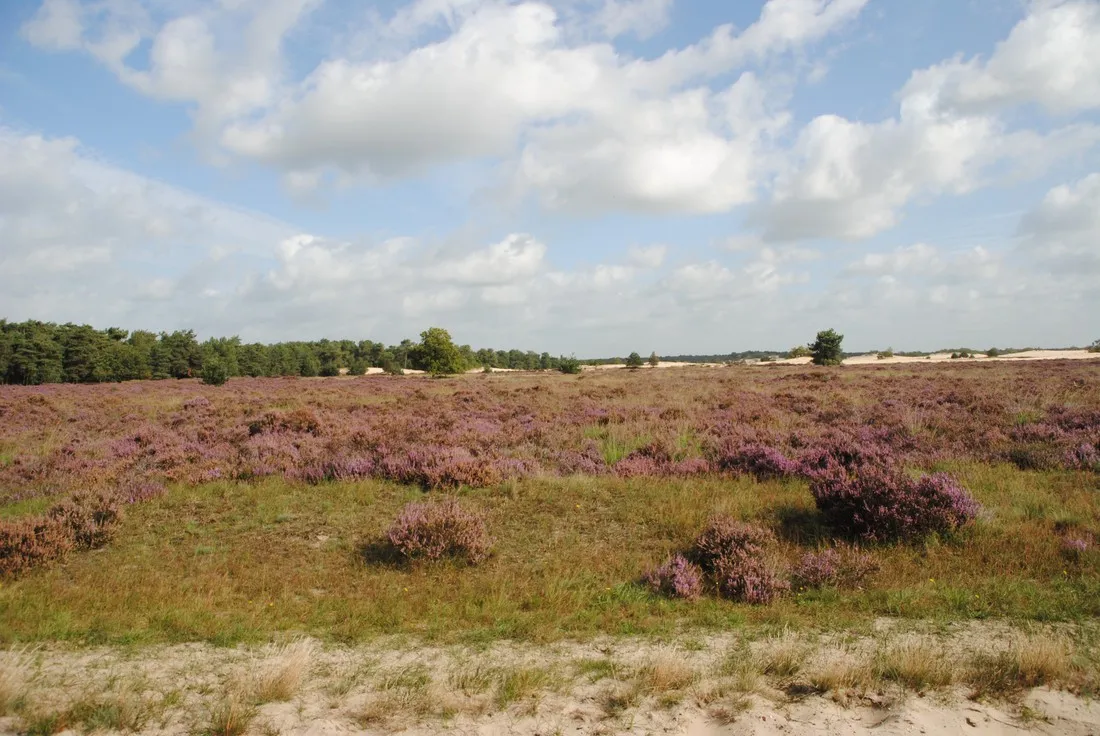 camping-de-zandley-udenhout-uncdu