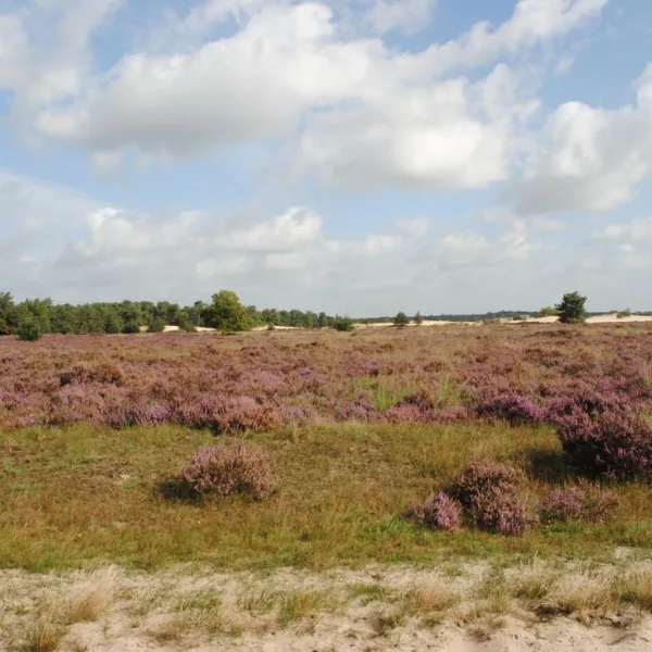 camping-de-zandley-udenhout-uncdu