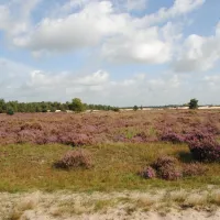 camping-de-zandley-udenhout-uncdu