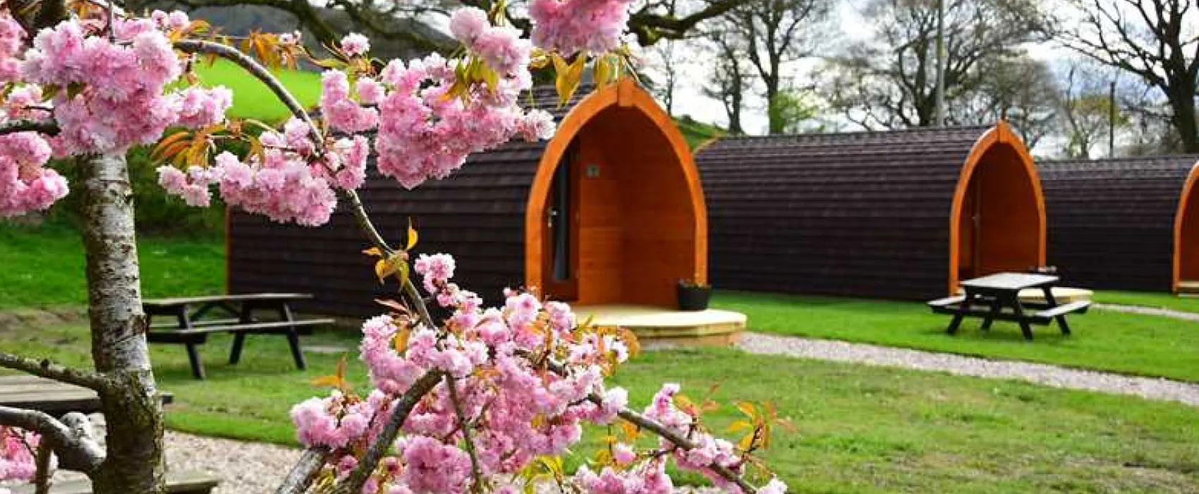 Waterside Farm Campsite