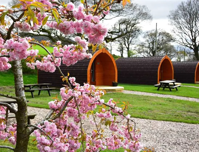waterside-house-campsite-penrith-xikzb