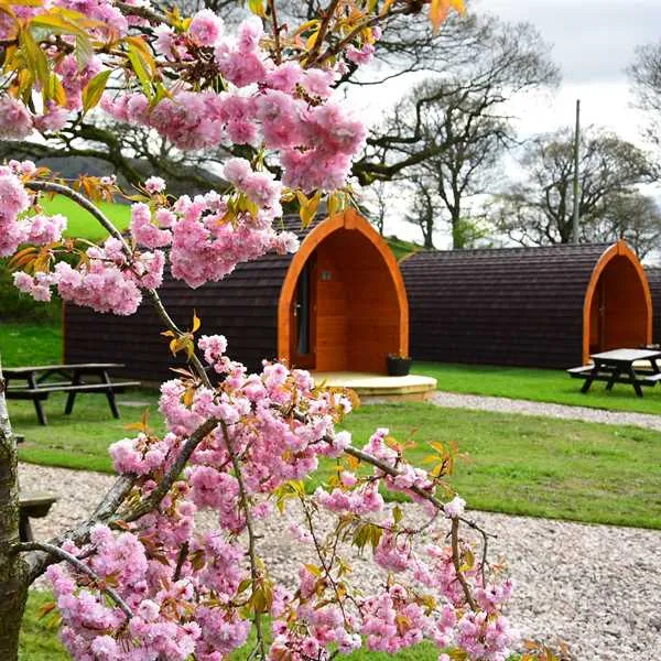 waterside-house-campsite-penrith-xikzb