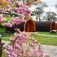 waterside-house-campsite-penrith-xikzb