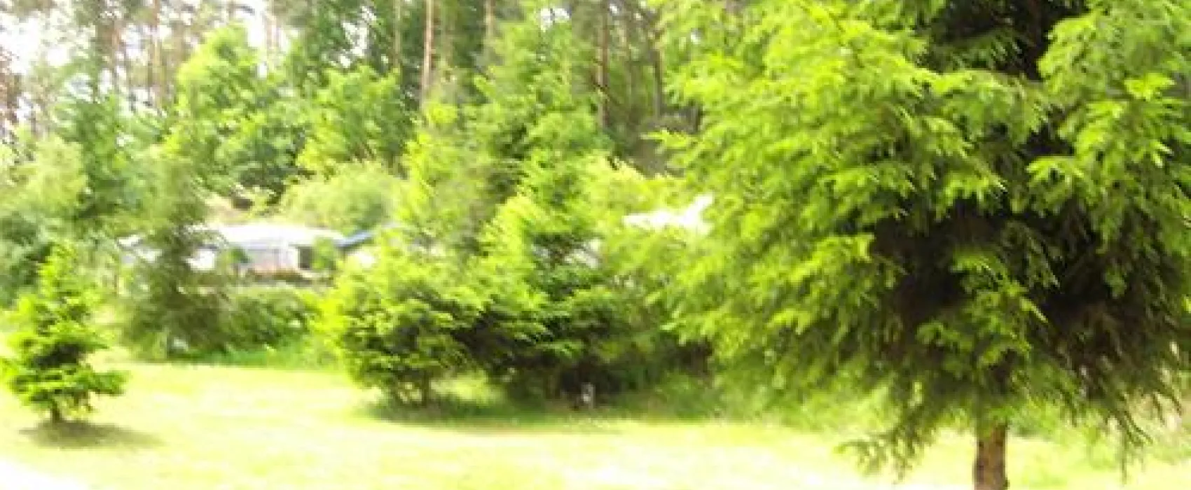 Camping am Gardersee