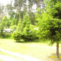 camping-am-gardersee-lohmen-bei-gstrow-ien32
