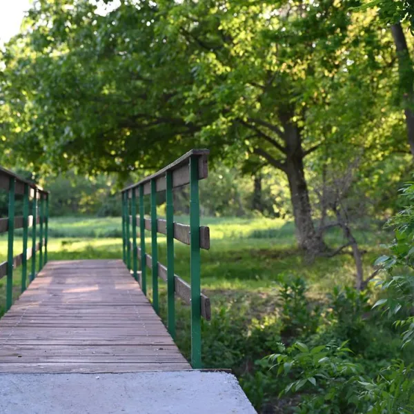camp-plum-village-batinac-lxwol