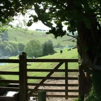 westermill-farm-exford-4pdbx