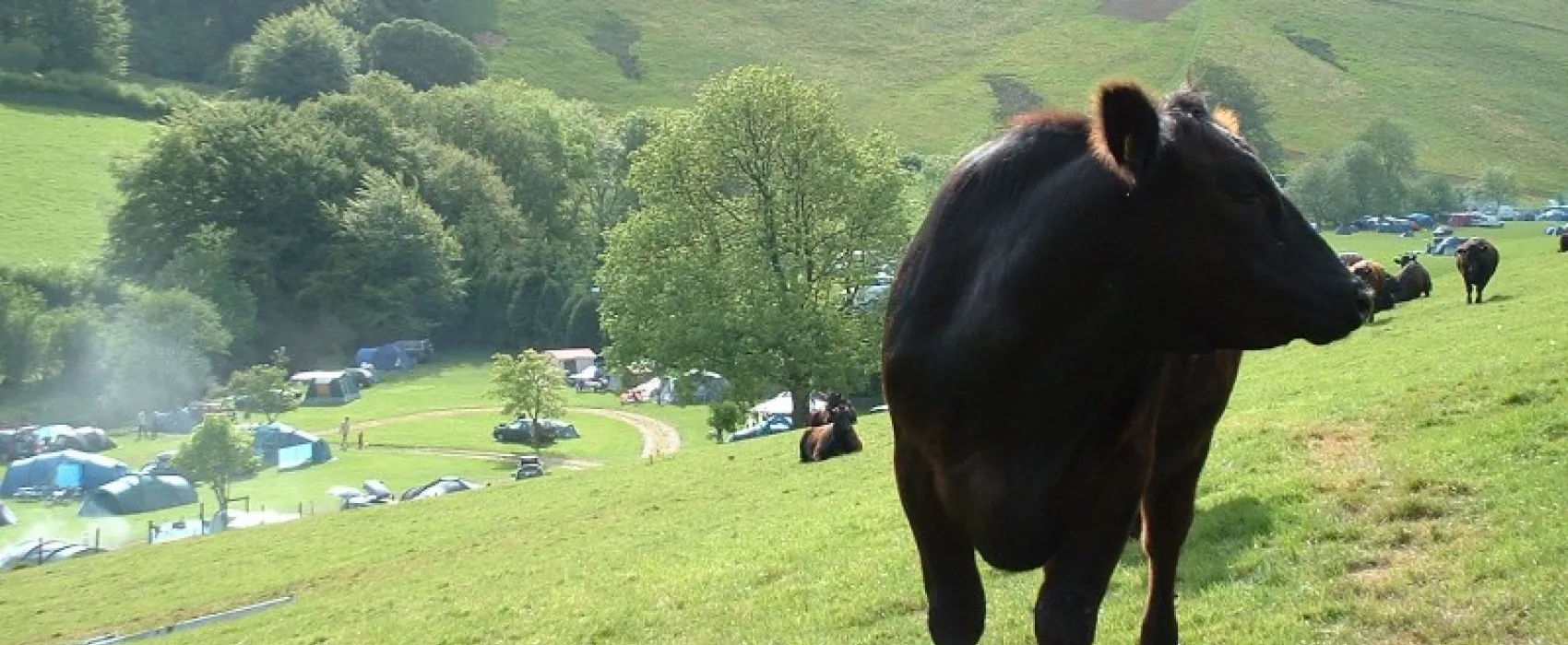 Westermill Farm
