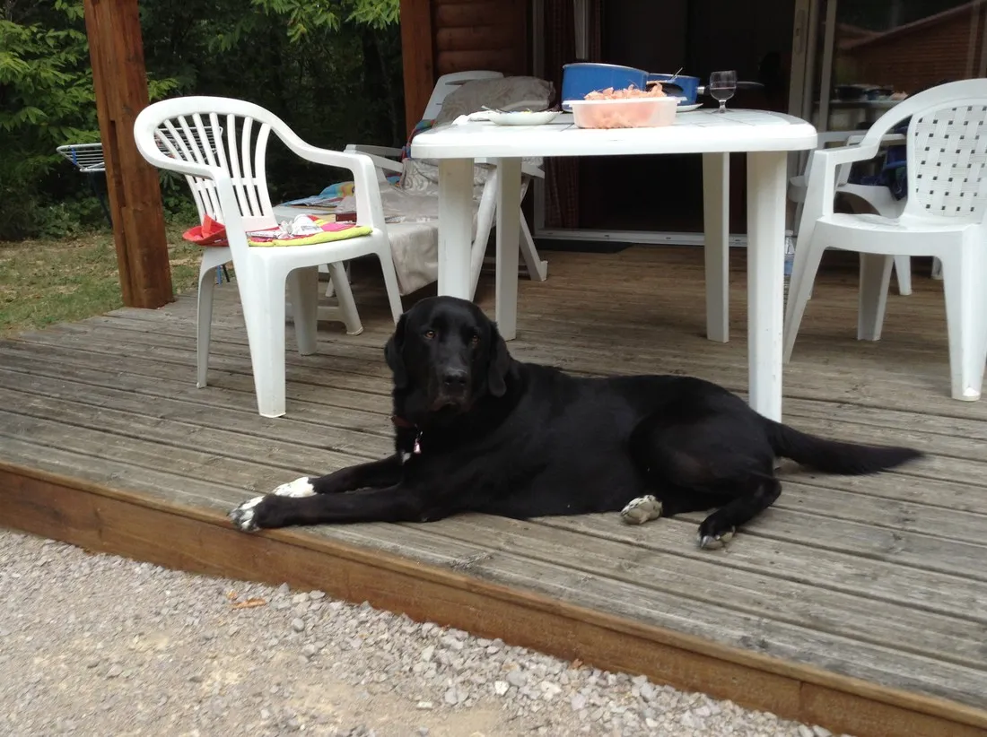 centre-naturiste-le-fiscalou-puycelsi-j8qny