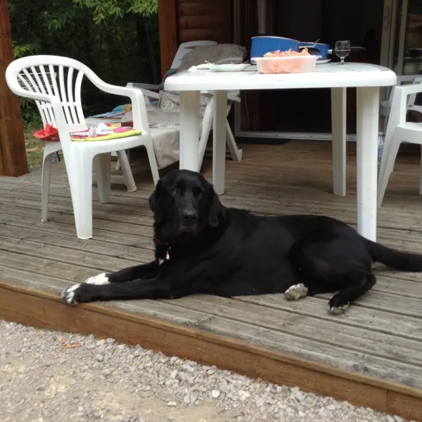 centre-naturiste-le-fiscalou-puycelsi-j8qny
