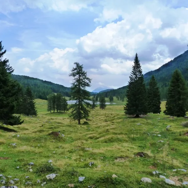 sport-camping-flaschberger-hermagor-cvohi