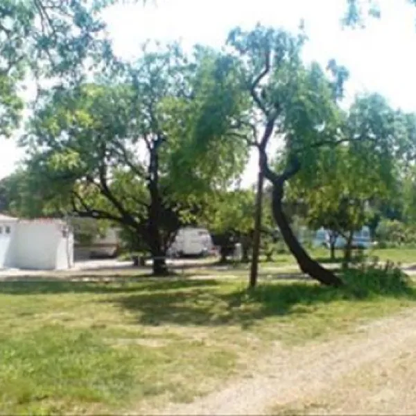camping-trstenica-orebi-isrua