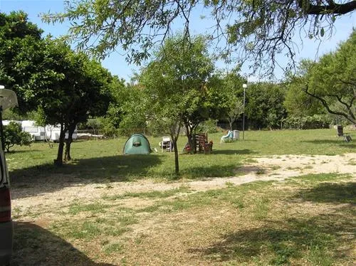 camping-trstenica-orebi-m9iyp