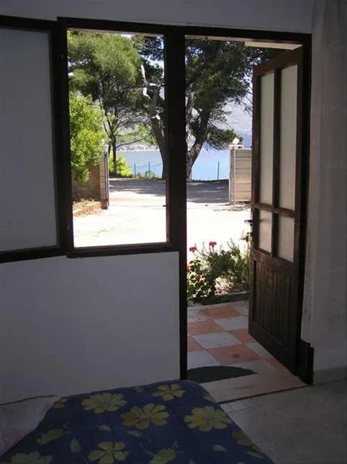 camping-trstenica-orebi-zj42u