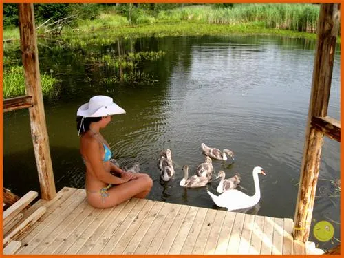 camping-leiputrija-iene-dewdy