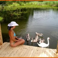 camping-leiputrija-iene-dewdy