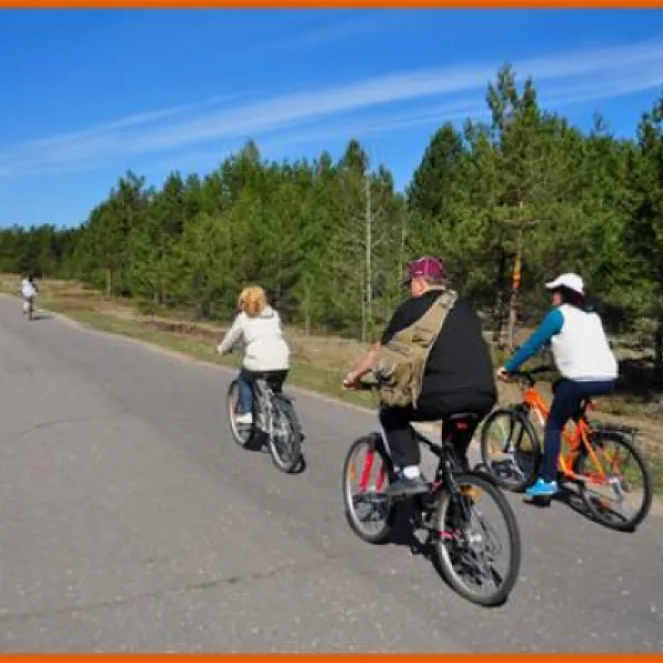 camping-leiputrija-iene-gk1cz