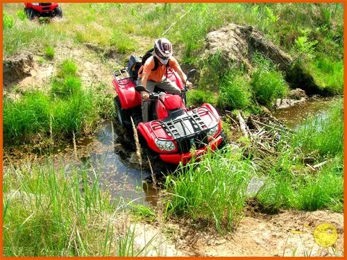 camping-leiputrija-iene-tm9ud