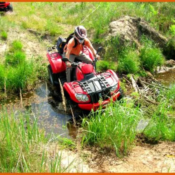 camping-leiputrija-iene-tm9ud