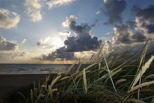 vejers-familie-camping-vejers-strand-ghox6