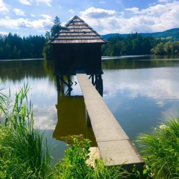 camping-zum-dammwirt-moosburg-ruotq