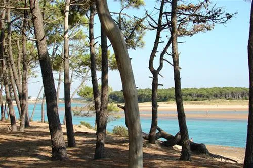 camping-veillonplage-talmont-st-hilaire-9wbds