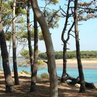 camping-veillonplage-talmont-st-hilaire-9wbds