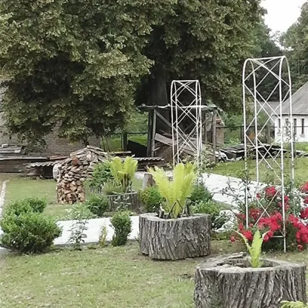 belovezhskaya-guest-novitskovichi-lj3gc