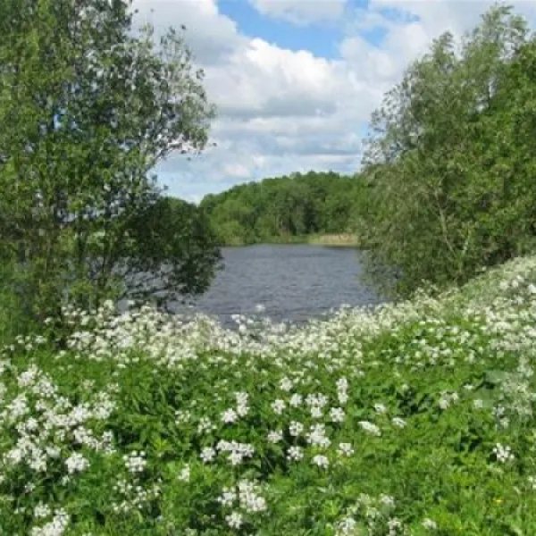 belovezhskaya-guest-novitskovichi-sijps