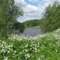 belovezhskaya-guest-novitskovichi-sijps