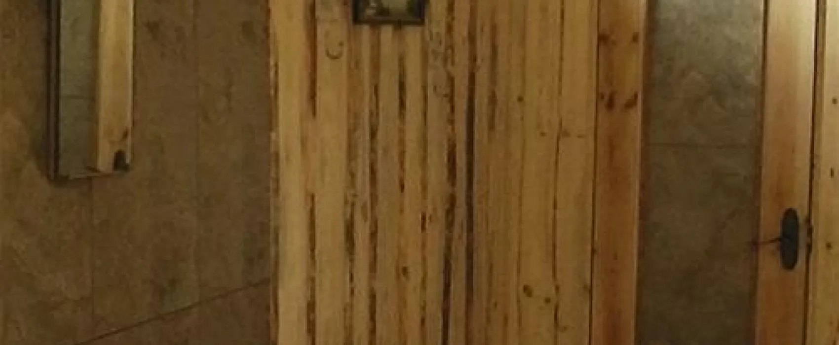 Belovezhskaya guest