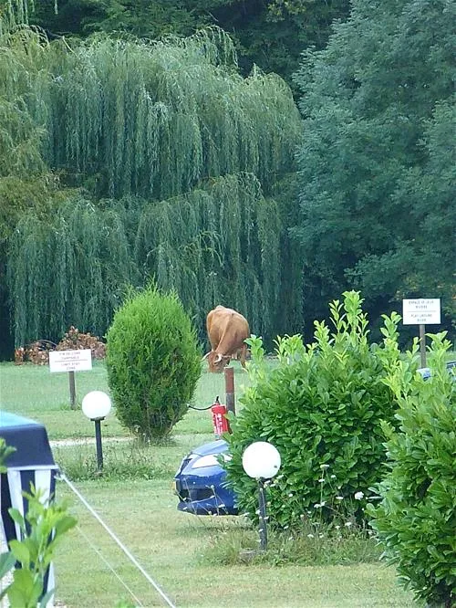 camping-le-bois-du-coderc-antonne-et-trigonant-72fix