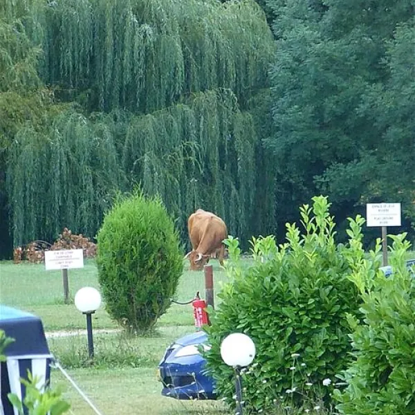camping-le-bois-du-coderc-antonne-et-trigonant-72fix