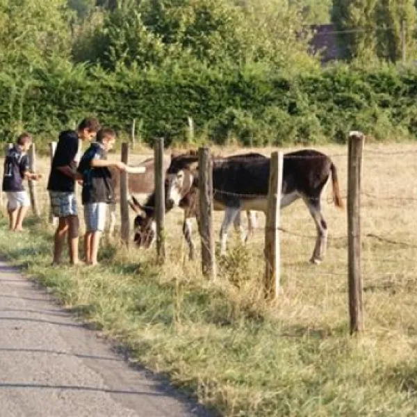 camping-le-bois-du-coderc-antonne-et-trigonant-a0hqd