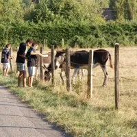 camping-le-bois-du-coderc-antonne-et-trigonant-a0hqd