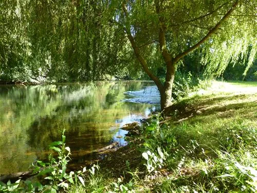 camping-le-bois-du-coderc-antonne-et-trigonant-f2dmf