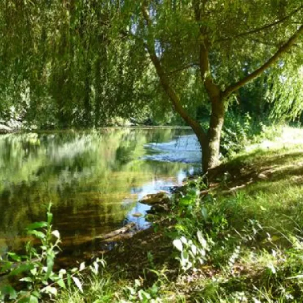 camping-le-bois-du-coderc-antonne-et-trigonant-f2dmf