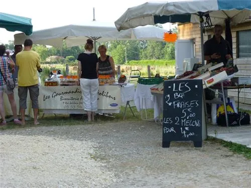 camping-le-bois-du-coderc-antonne-et-trigonant-gnv8n